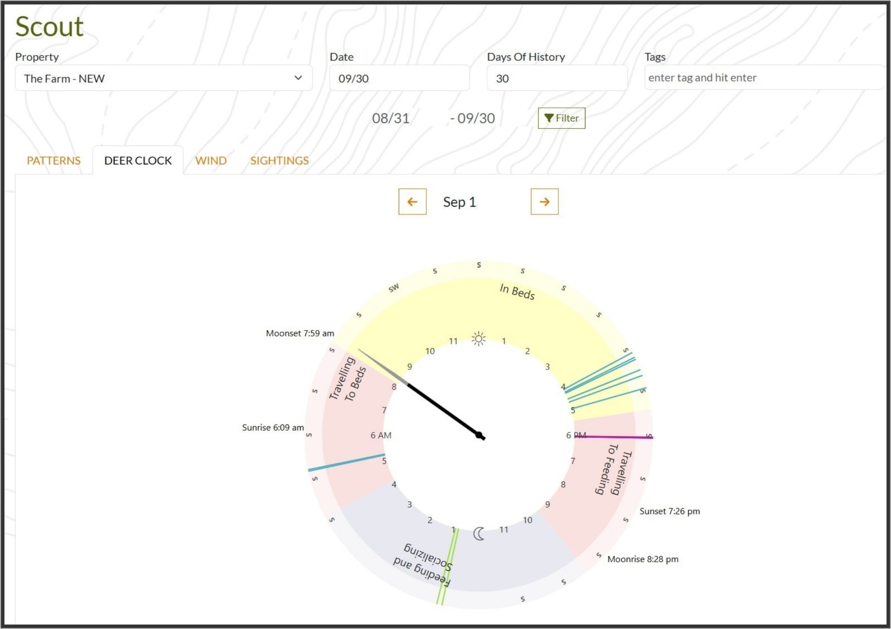 DeerMapper Scout web dashboard screen 9: The deer clock maps beds, travel and feeding against sunrise, sunset and moon phases.